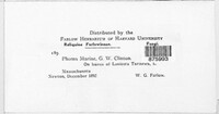 Phoma mariae image